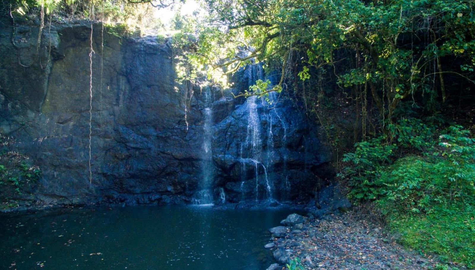 Tobu House Villa Savusavu Eksteriør billede